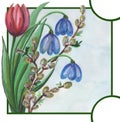 Tulip, willow, snowdrop, bell, leaves, postcard, spring, painting, watercolor, flowers